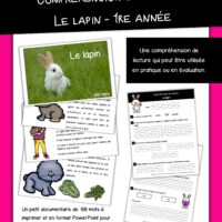 Compréhension de lecture - Le lapin - 1re année